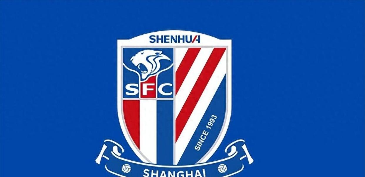 九游娱乐官方网站-上海申花主场失利，晋级前景黯淡！的简单介绍