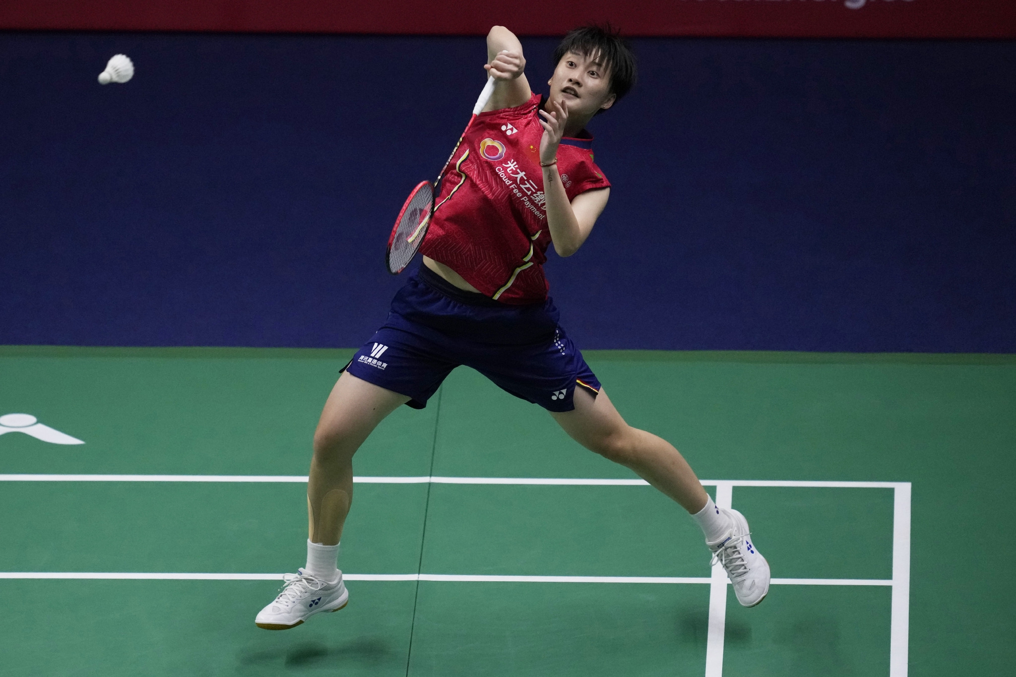 九游体育-韩国队逆转德国队，陈雨菲高光表现的简单介绍